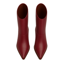 Женские сапоги